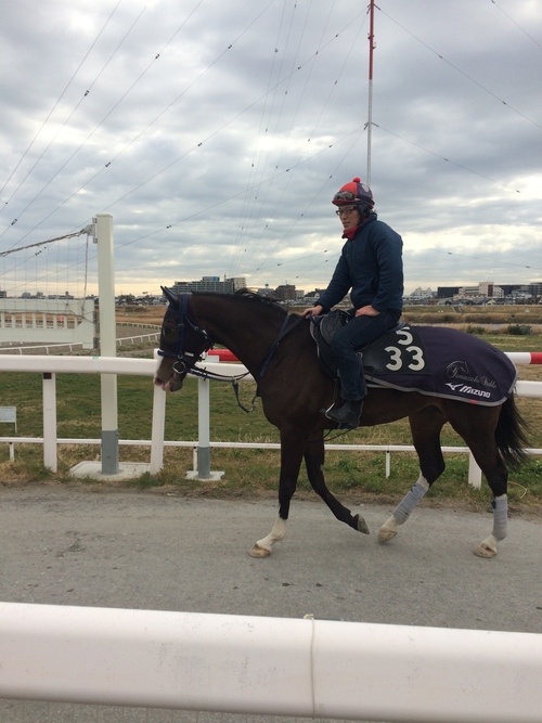 雑誌 HUNT_e0309501_1222013.jpg