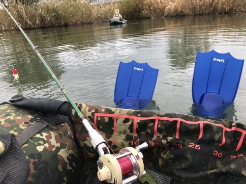 京都 スーパー特別編_e0309501_16311223.jpg