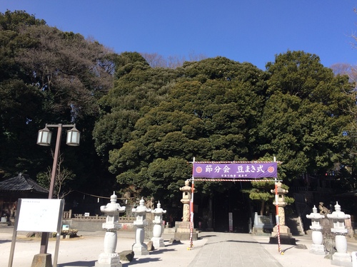 サファリ_e0309501_1792082.jpg