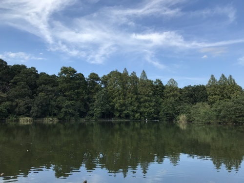 ブレザー_e0309501_18172448.jpg