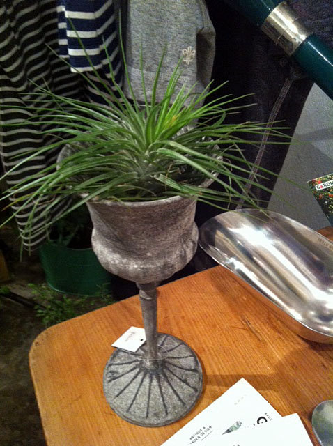 『The garden world』_e0309501_3381360.jpg