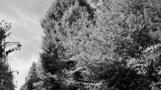 東京百景　秋の夜、西荻にて